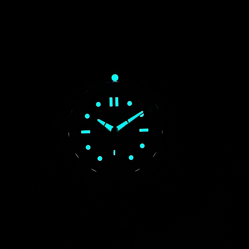 STEELDIVE Official New In SD19 - Seiko Watch Prospex 评论和价格